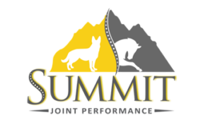 SummitLogo-04-copy-copy-e1617809047650.png